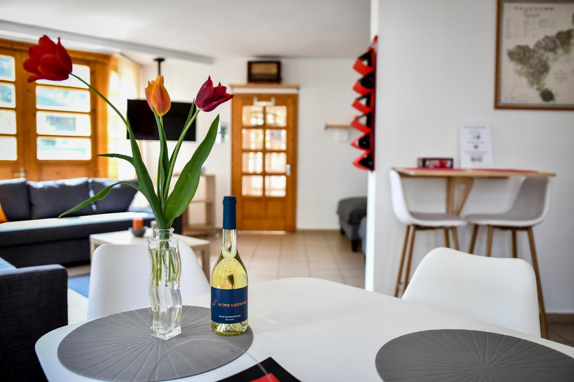 Boralom Studio Apartman Tokaj Exteriér fotografie