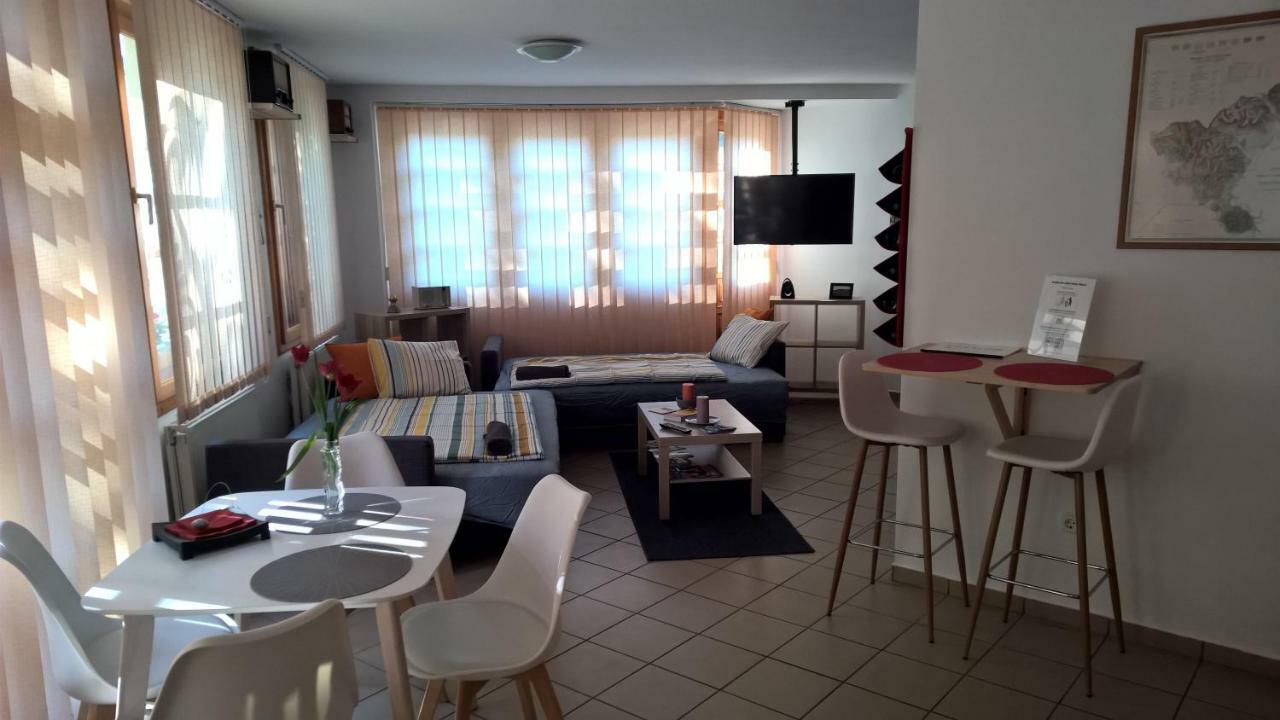 Boralom Studio Apartman Tokaj Exteriér fotografie
